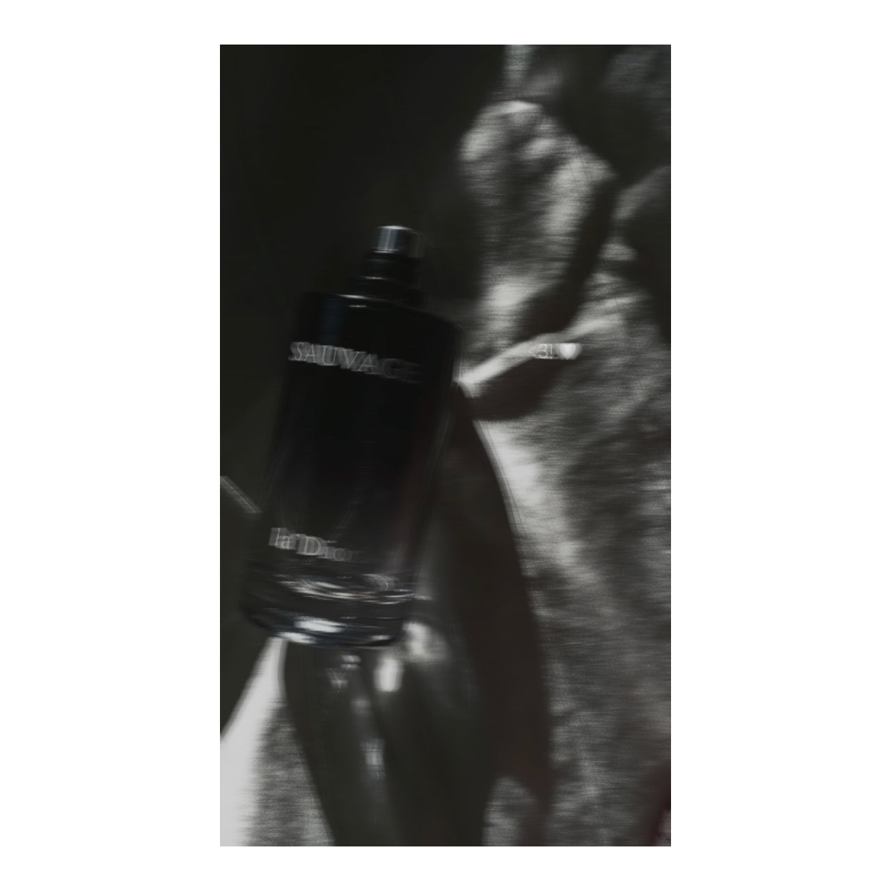 Midnight Desert Fresh Eau de Parfum – 60ml / 100ml